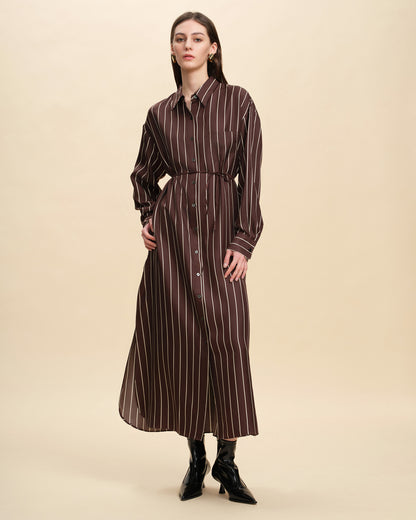 Oversized Silk Twill Batwing Shirt Dress